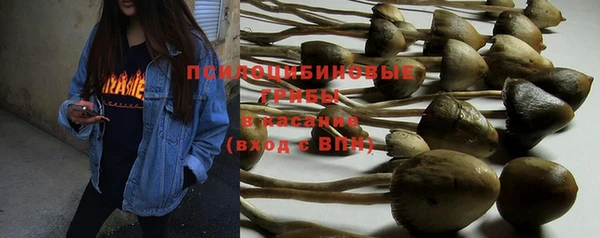 mix Няндома