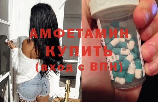 крисы Новозыбков