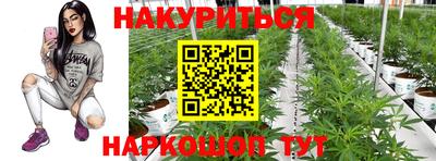 марки lsd Гатчина