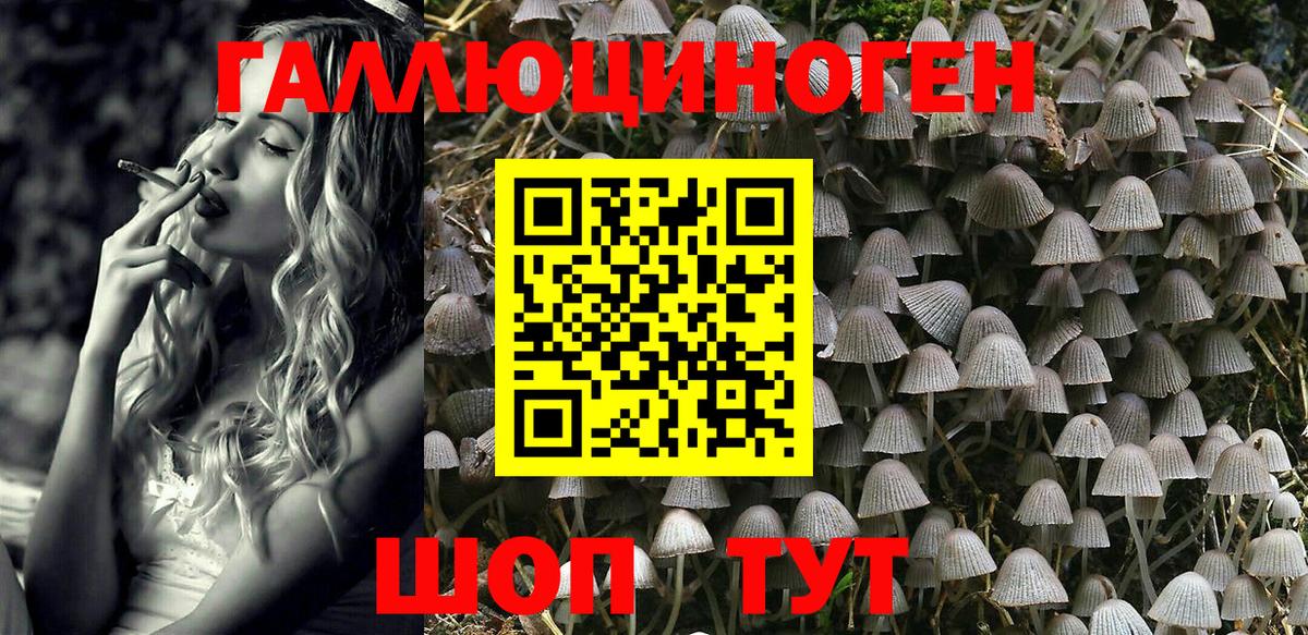Галлюциногенные грибы Magic Shrooms Приморско-Ахтарск
